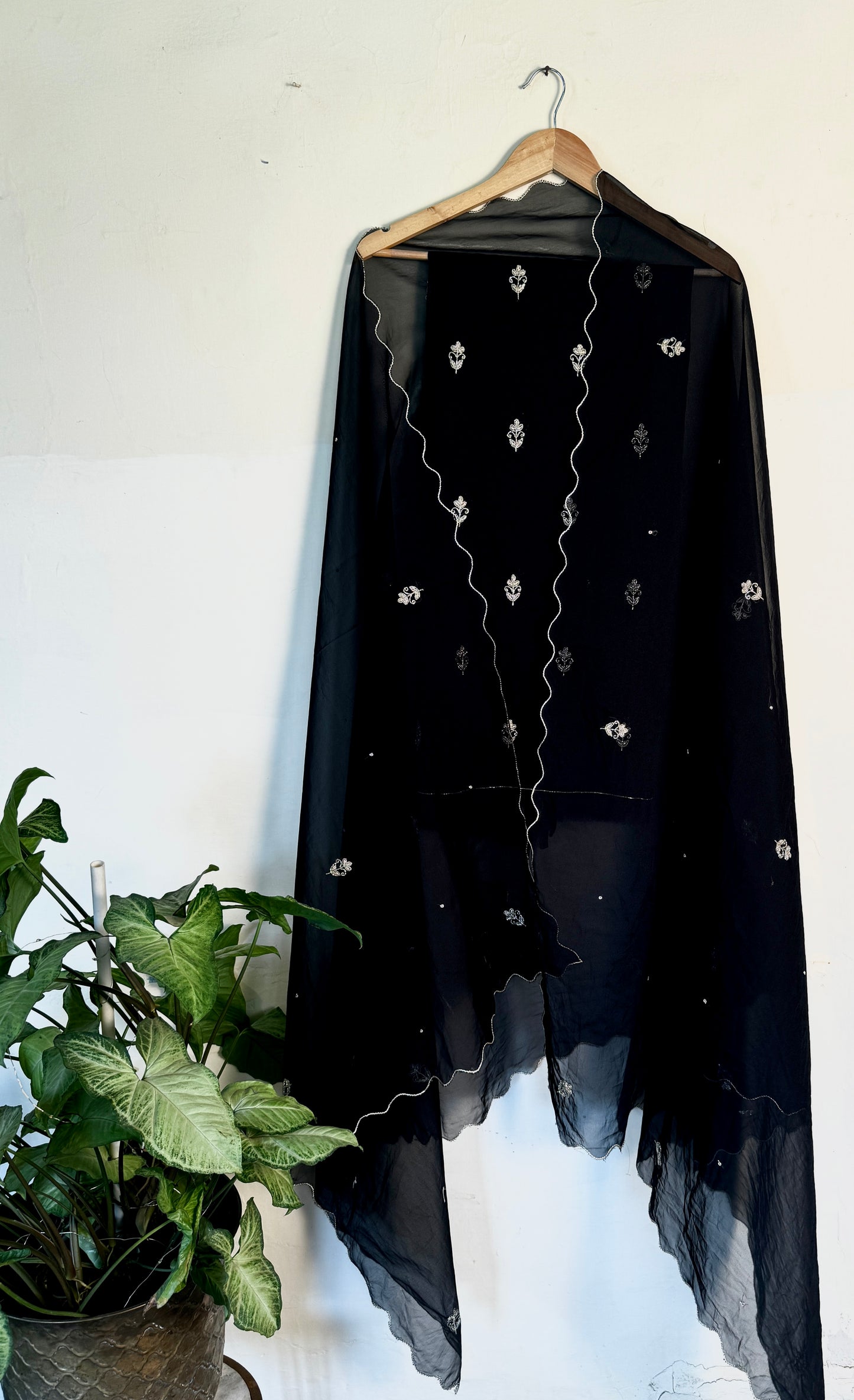 Black buti  Organza zardozi set